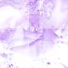 Tile/Rose/purple